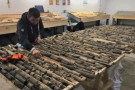 The role of assayer in mining