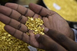 Gold steady at more than two-week peak as investors look to US inflation data