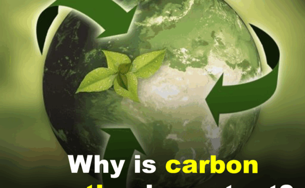 Why is carbon reporting important?