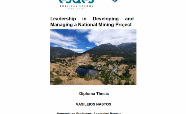 Leadership in Developing and Managing a National Mining Project