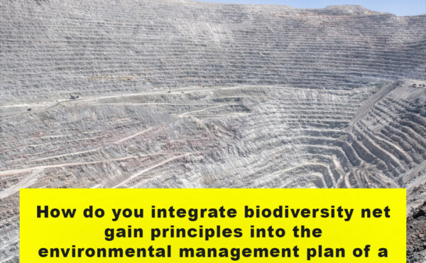 How do you integrate biodiversity net gain principles into the environmental management plan of a new mine development project?